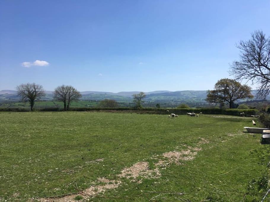Perfect Cottage Retreat Near The Brecon Beacons Llanwrda Экстерьер фото