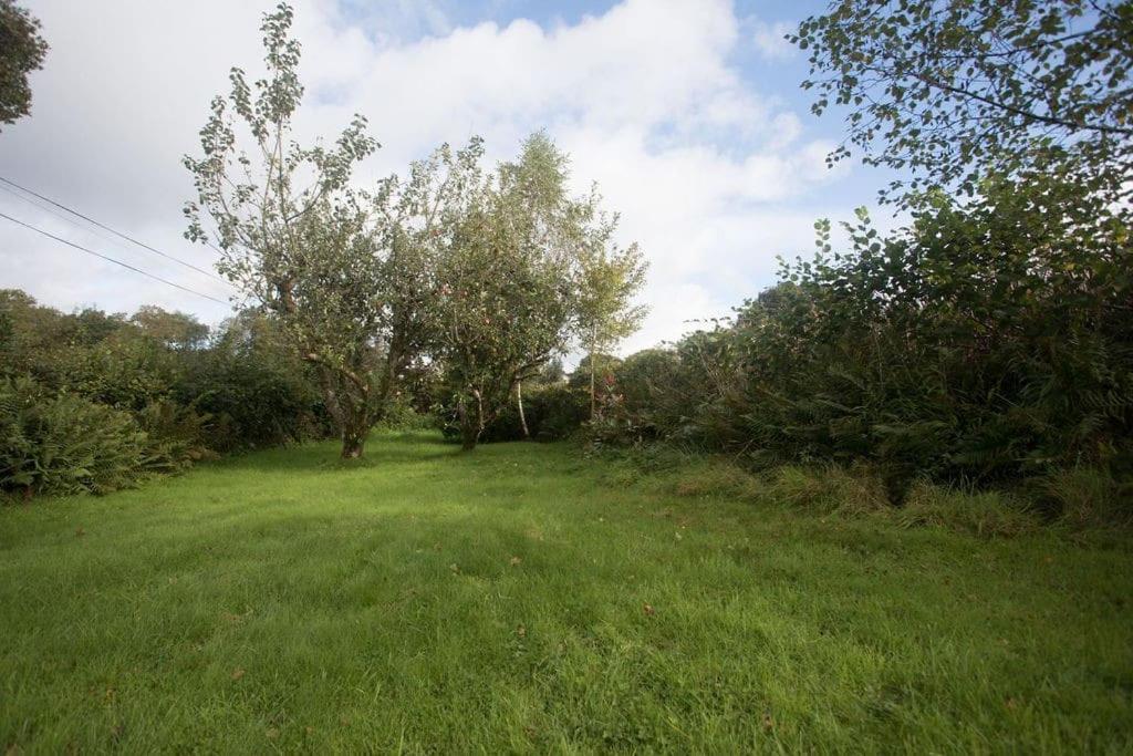Perfect Cottage Retreat Near The Brecon Beacons Llanwrda Экстерьер фото
